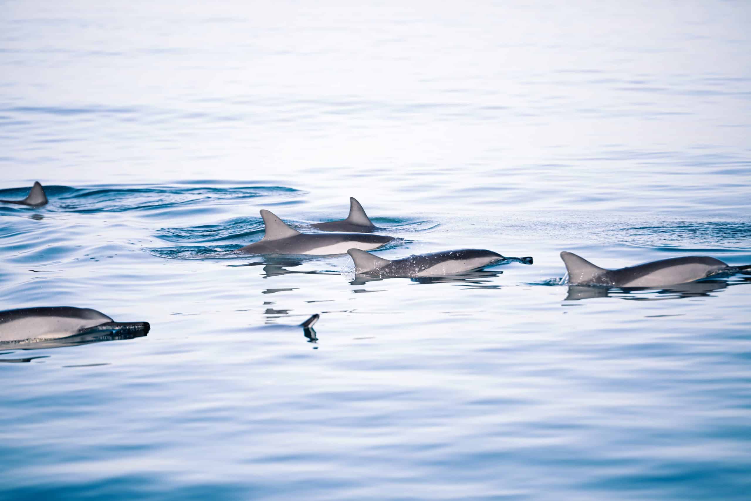 VITAMINSEA_PHOTOSHOOT-OCT2021-6