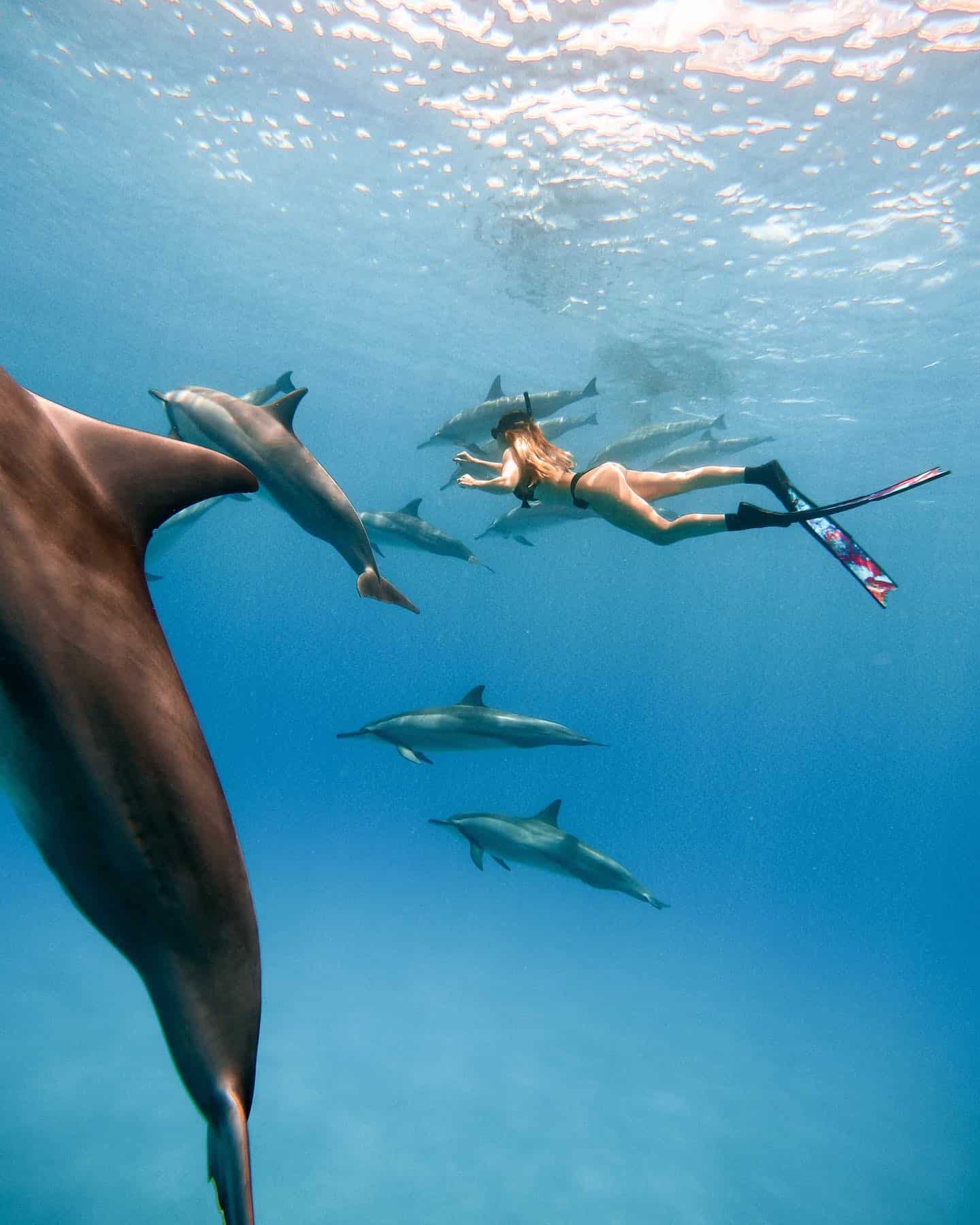 1B5FED64-2A07-46D7-B44F-55B6203CB0C4