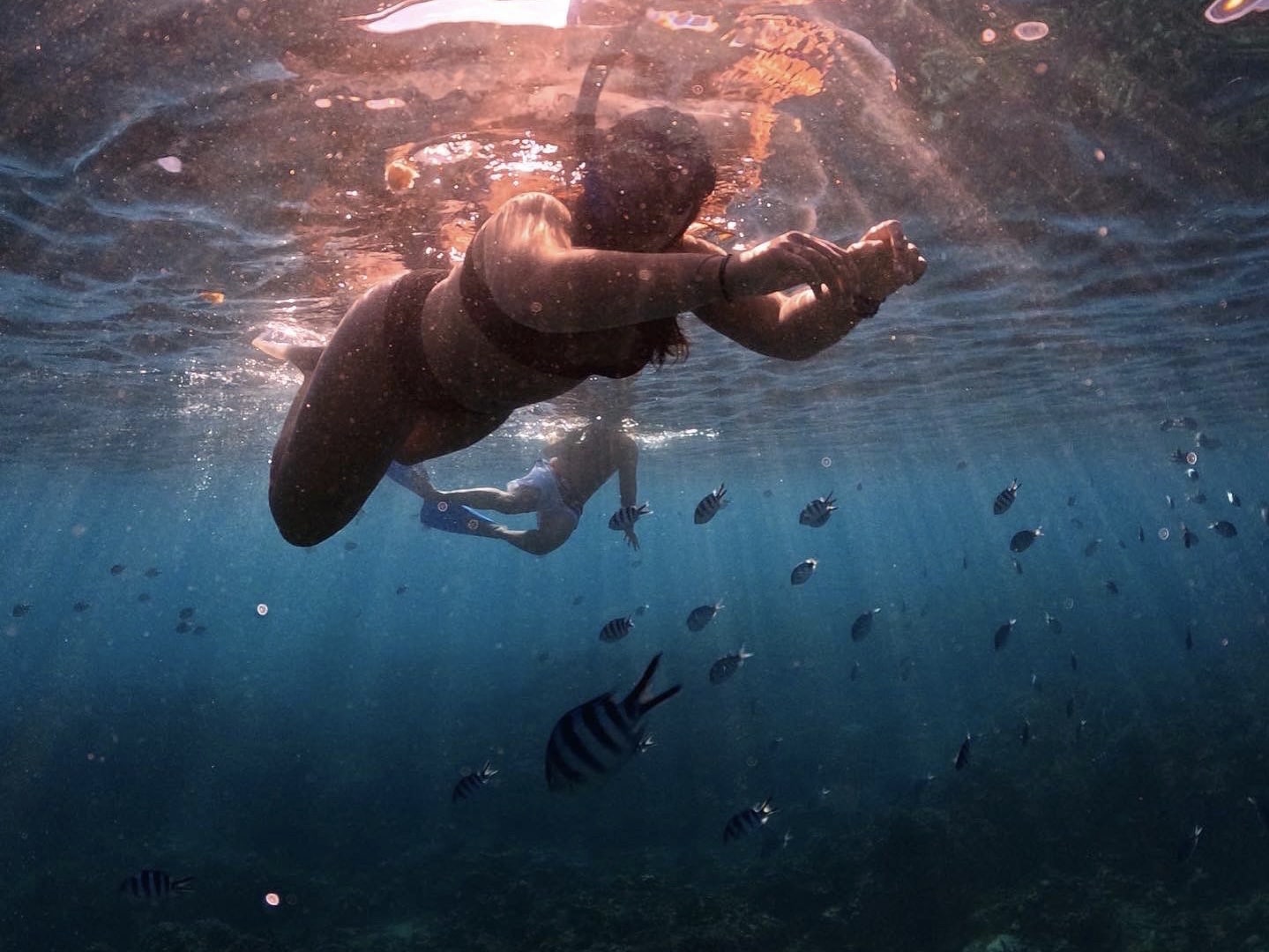 24F54C2C-15CA-4B2A-8C9C-CB8C07B5F000