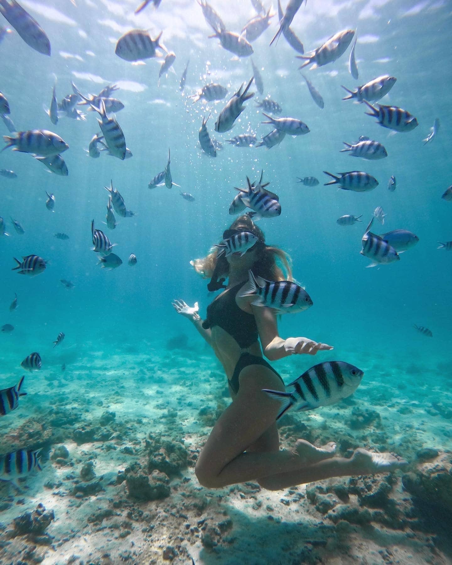 4ED65A8B-B597-43F9-9802-6A2D4C8A08F8