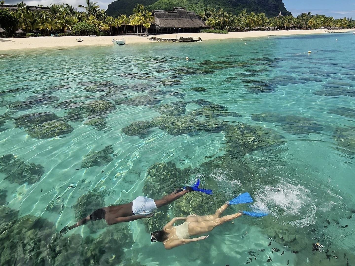 7EE8B22F-FC57-4766-89B3-BF09DC57884A