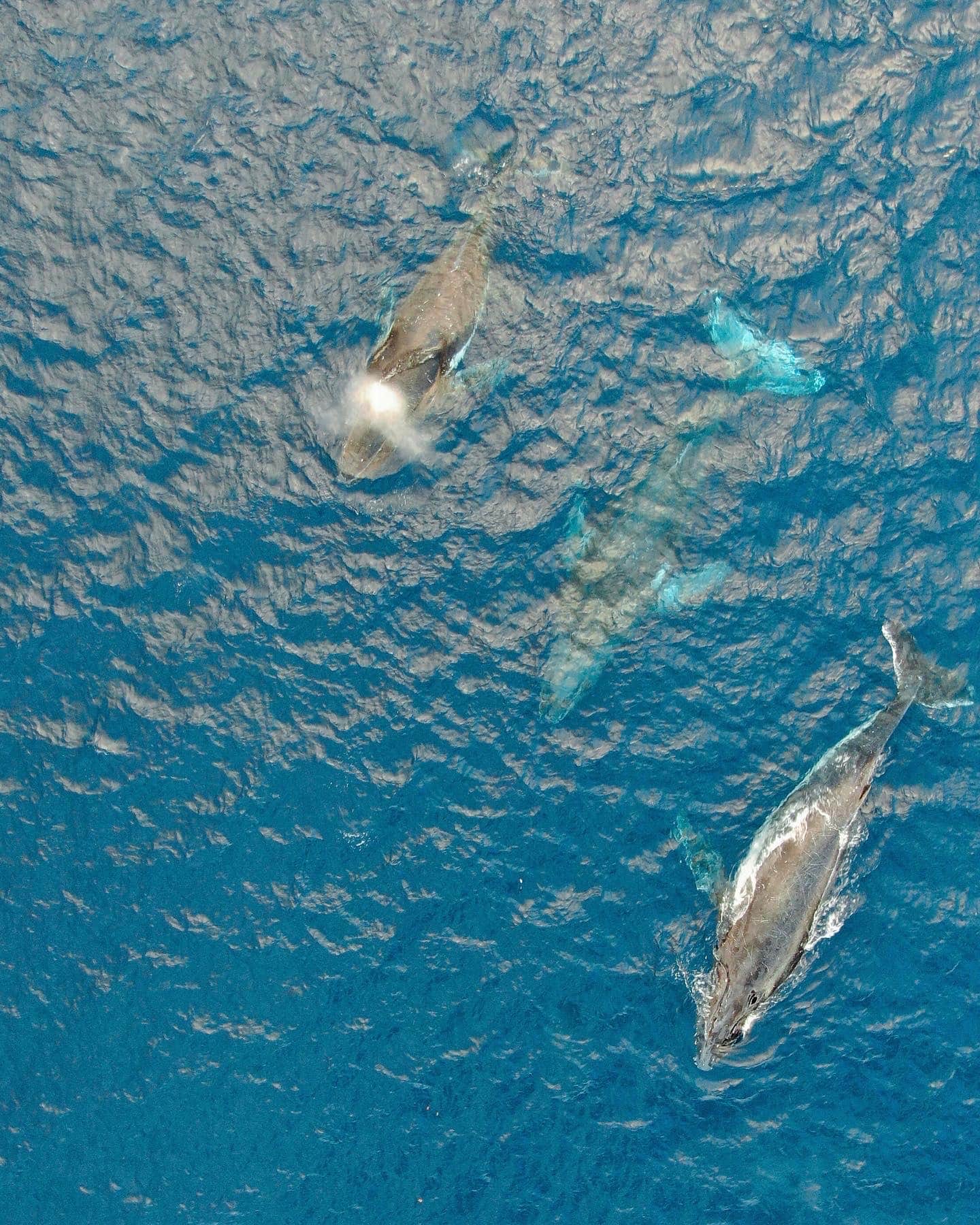 F23A078C-16C3-4CE3-98A0-A4C705984B96