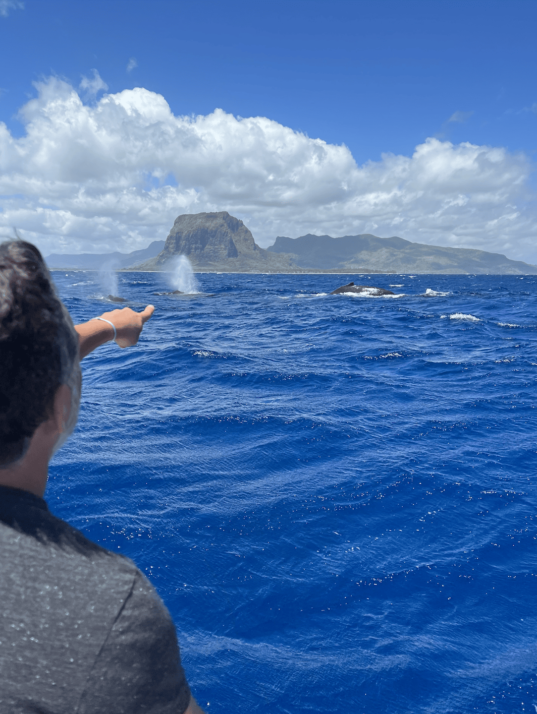 Bildschirmfoto 2023-03-10 um 13.51.26