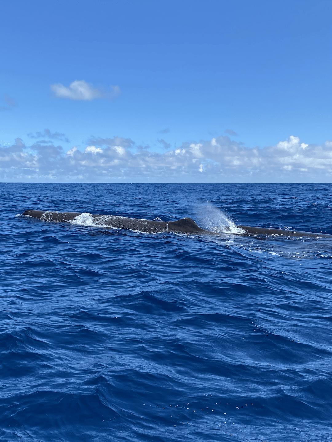 Bildschirmfoto 2023-03-10 um 13.52.00