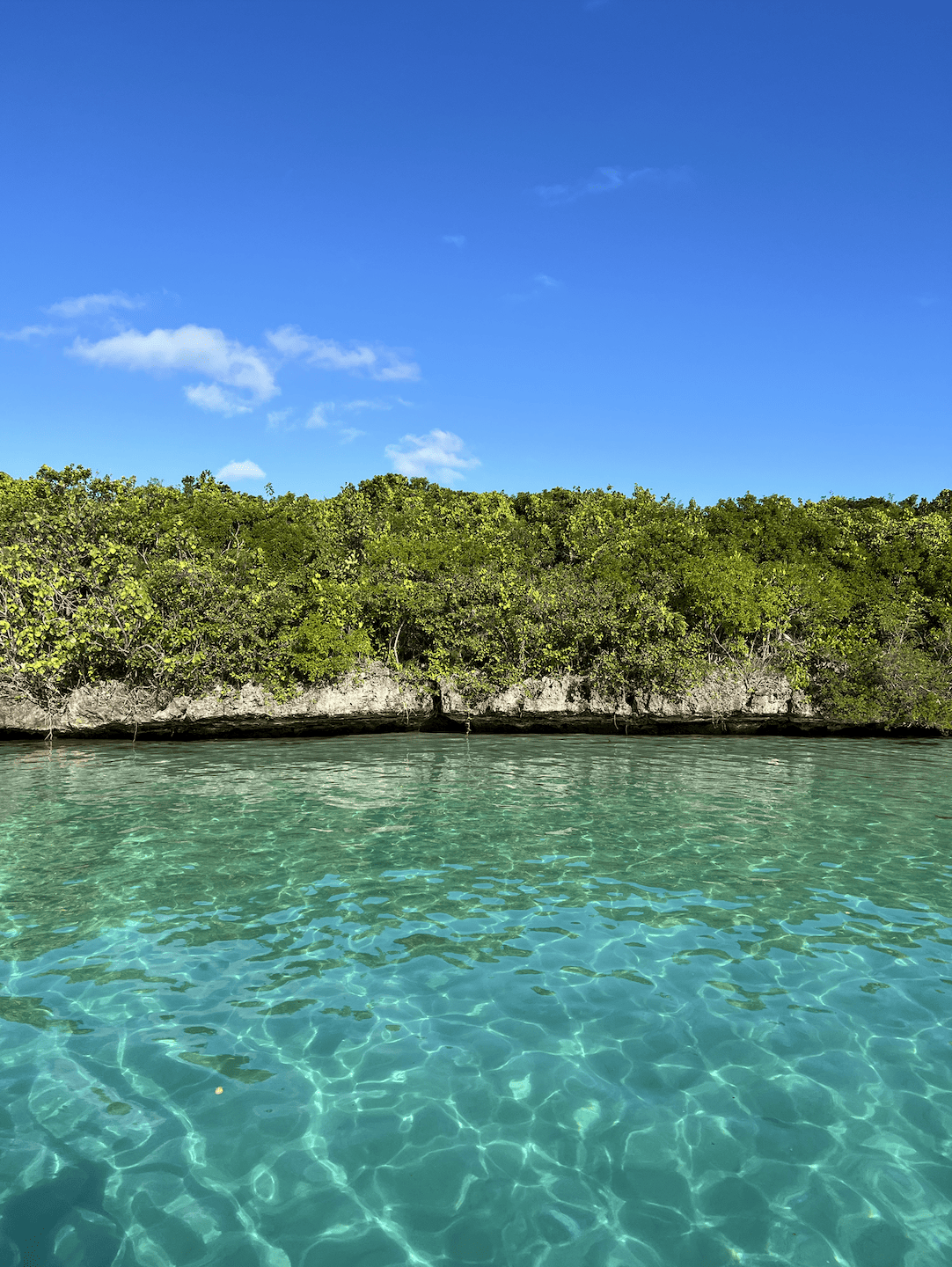 Screenshot 2023-03-11 at 09.19.48