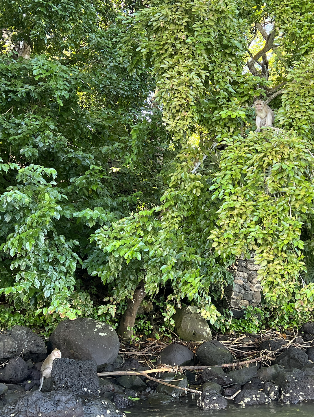 Screenshot 2023-03-11 at 09.19.58