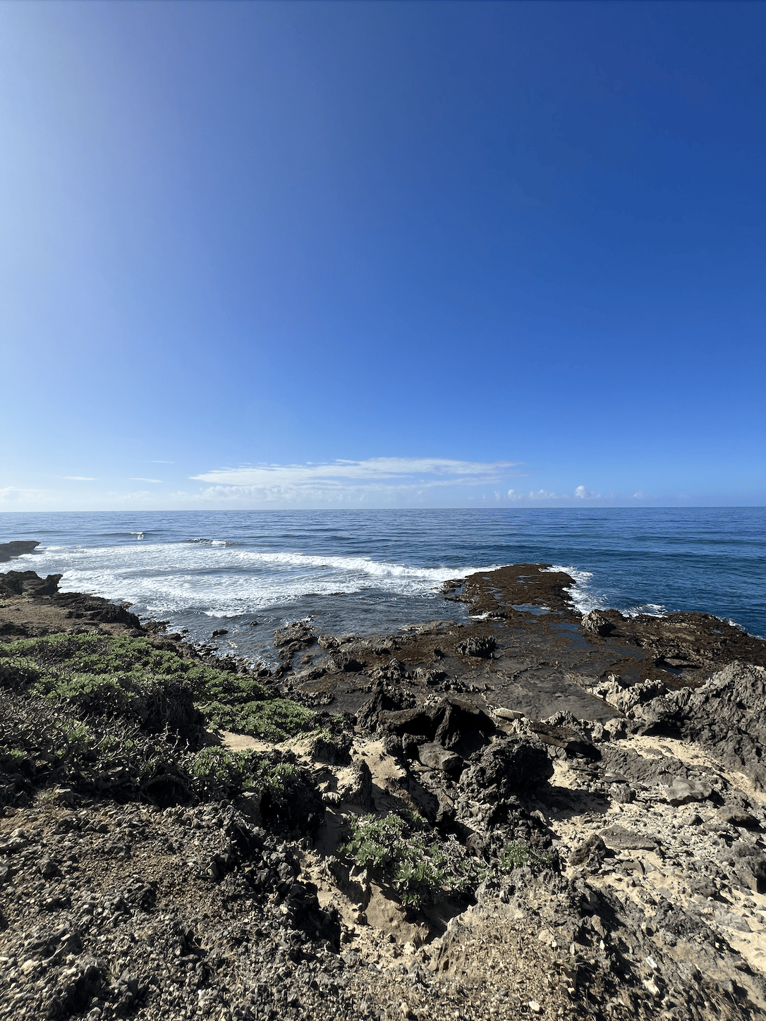 Screenshot 2023-03-11 at 09.20.09