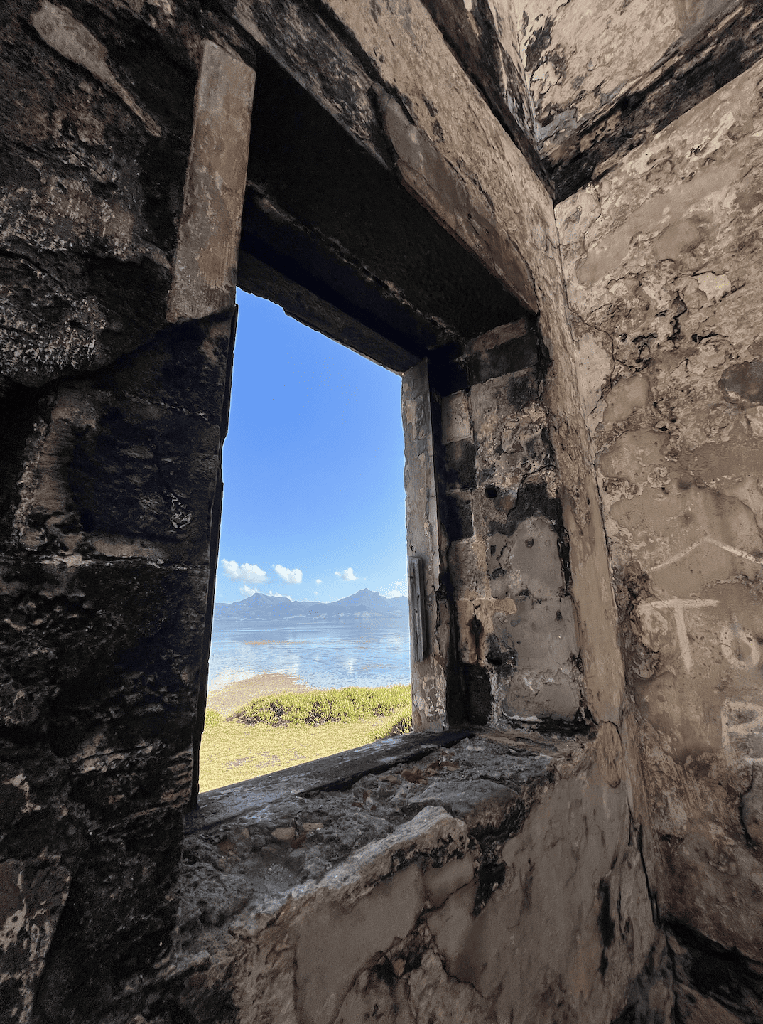 Screenshot 2023-03-11 at 09.20.21