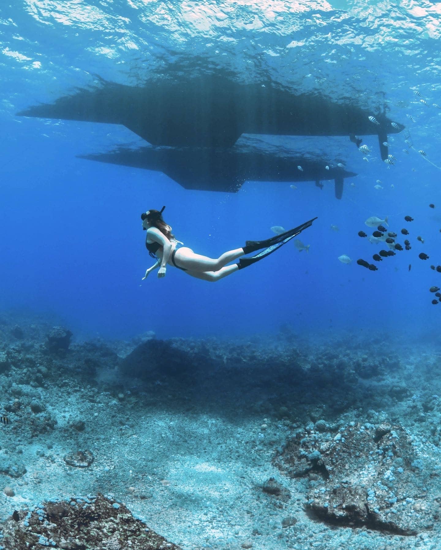 08FB0989-7ED8-458E-B5B6-48D80E719E27