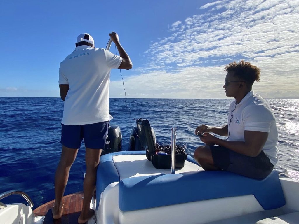 WHALE, HELLO THERE! - whale watching - Vitamin Sea Mauritius