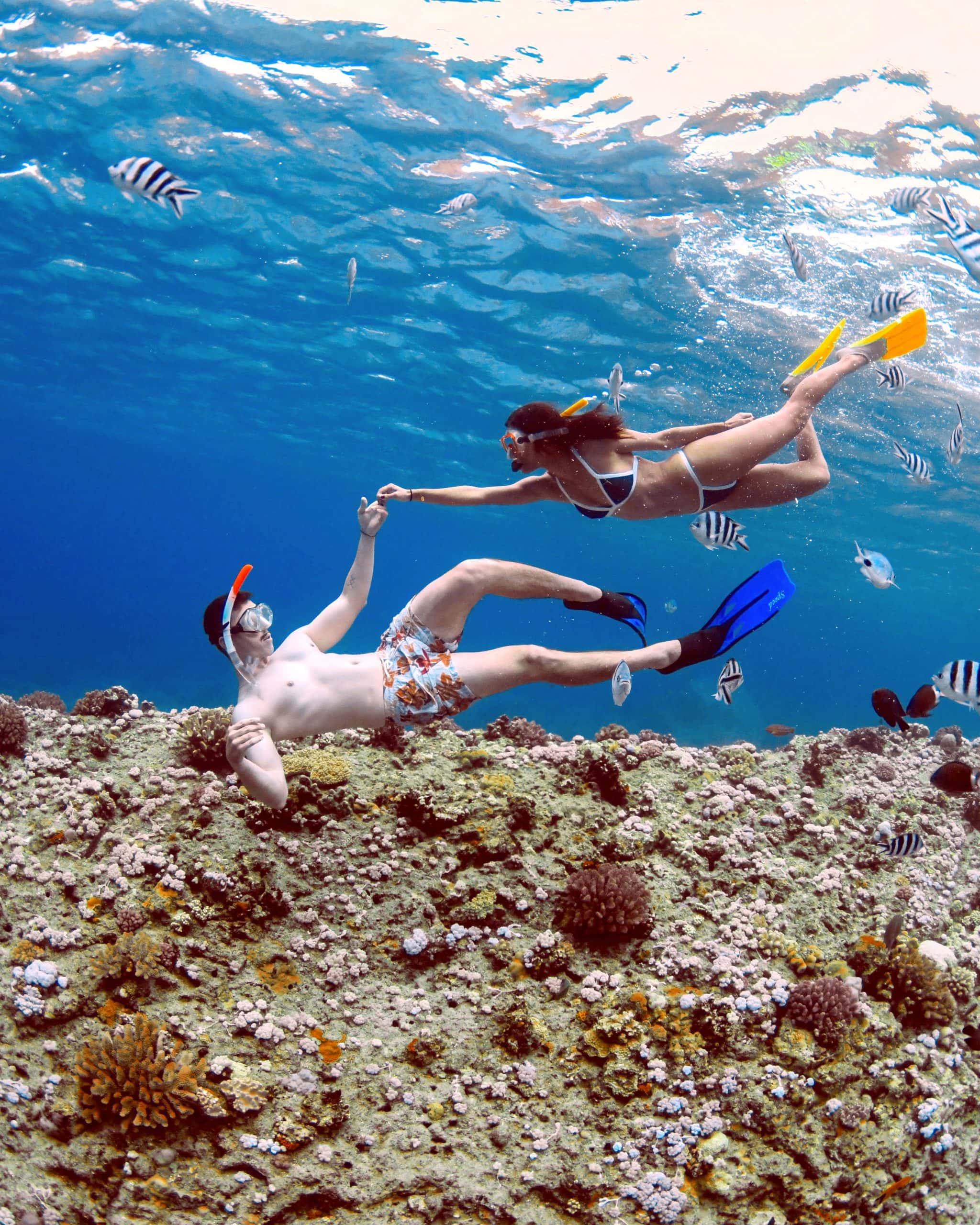 77B3EE2E-E484-4CF1-8755-CA5CE9819F4E