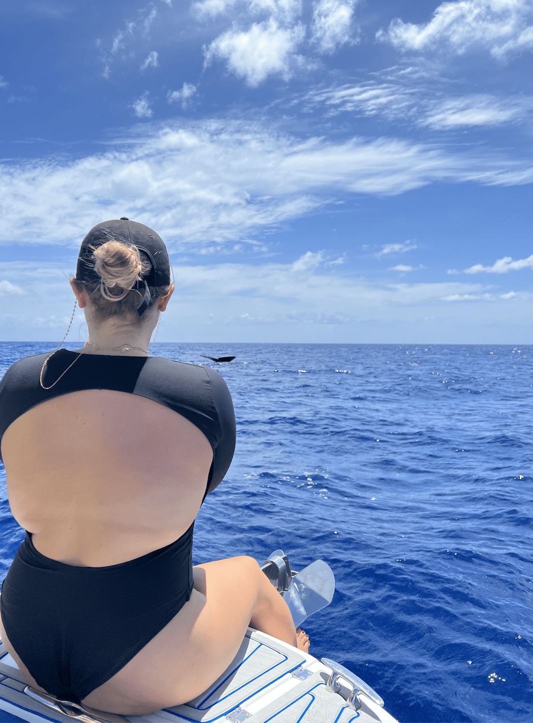 Bildschirmfoto 2023-03-13 um 08.20.28