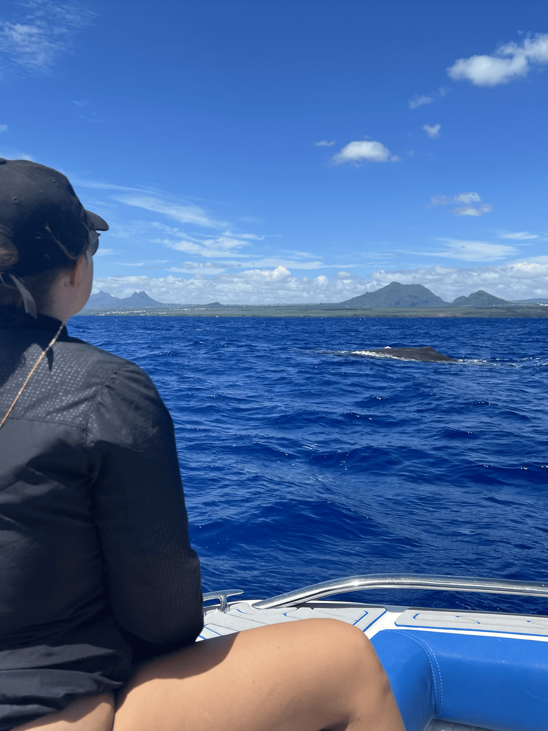 Bildschirmfoto 2023-03-13 um 08.20.34