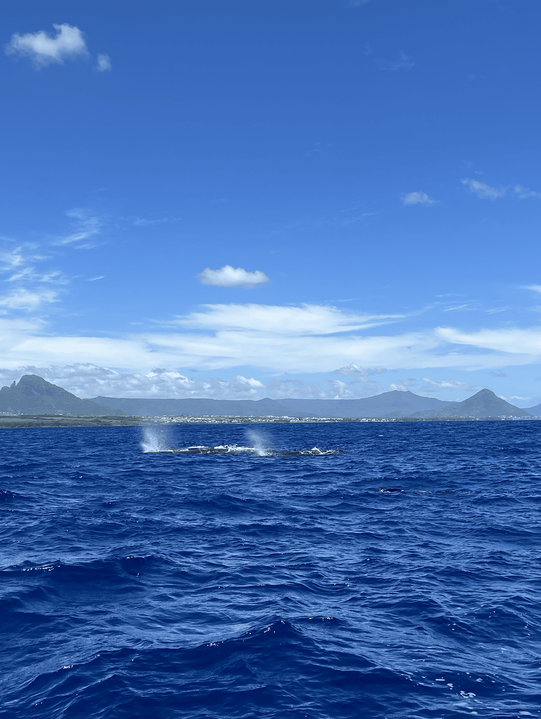 Bildschirmfoto 2023-03-13 um 08.20.42