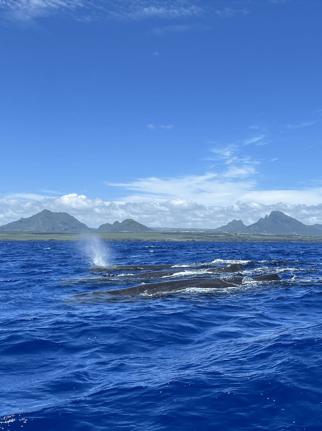 Bildschirmfoto 2023-03-13 um 08.20.57