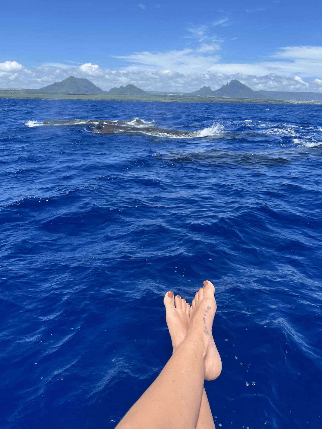 Bildschirmfoto 2023-03-13 um 08.21.08