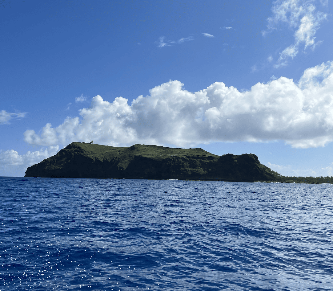 Screenshot 2023-04-17 at 09.01.16