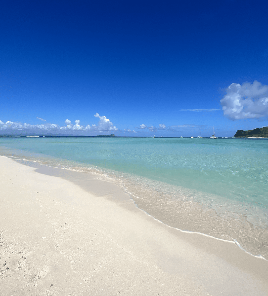 Screenshot 2023-04-17 at 09.01.34